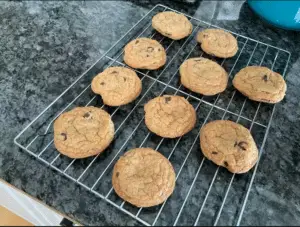 Sally's Baking Addiction Cookies