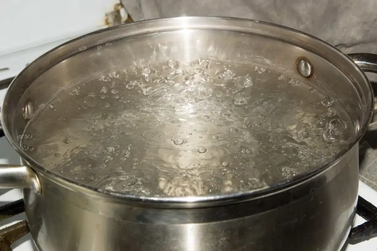 A stainless steel pot of boiling water on a gas stove.