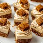 Vegan No-Bake Biscoff Cheesecake Bites